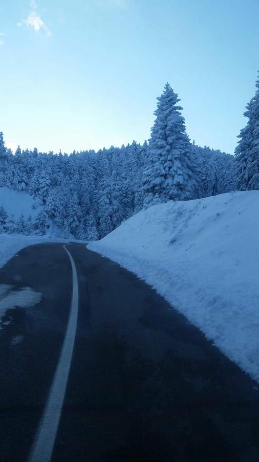 Άγρια Λούλουδα Κατοικία Αρμονία Timfristos Esterno foto