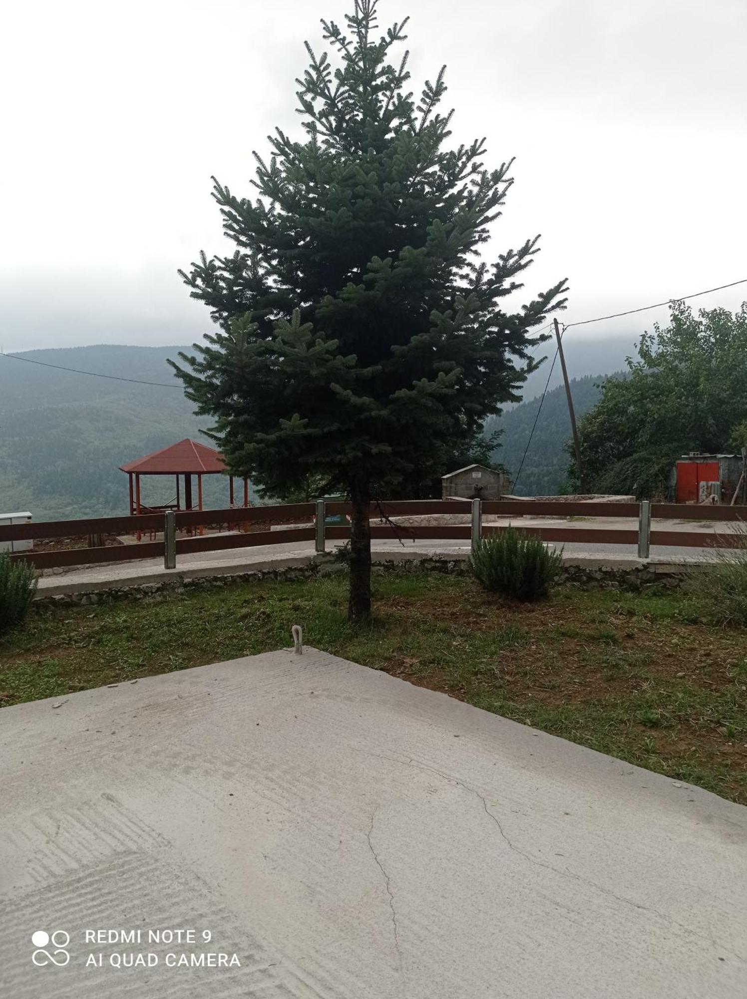 Άγρια Λούλουδα Κατοικία Αρμονία Timfristos Esterno foto
