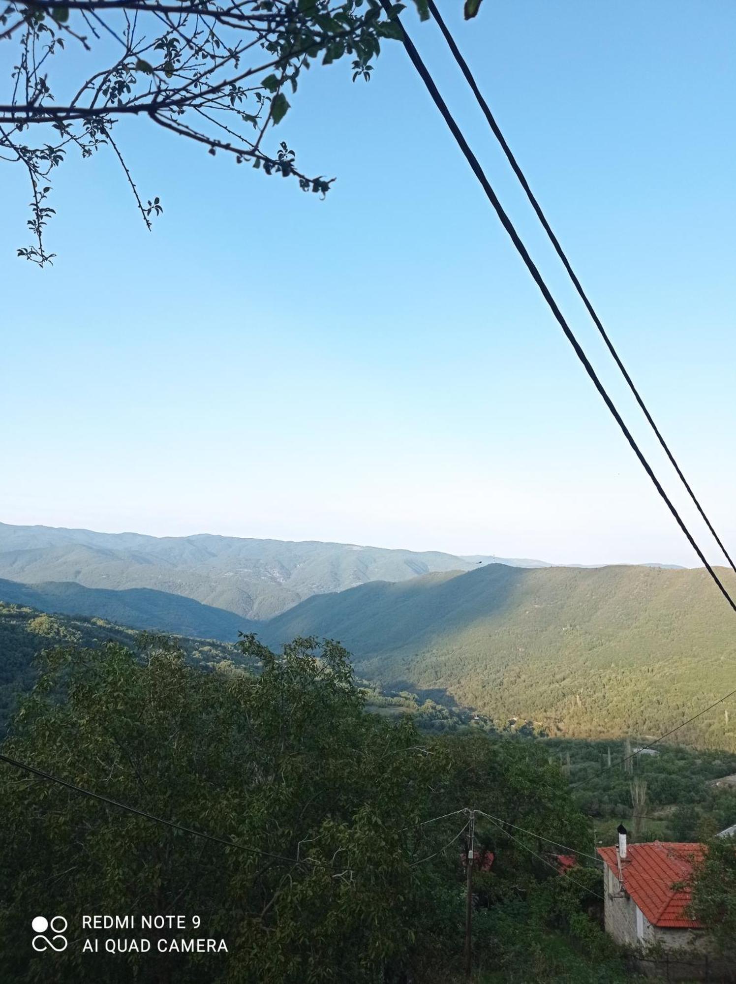 Άγρια Λούλουδα Κατοικία Αρμονία Timfristos Esterno foto