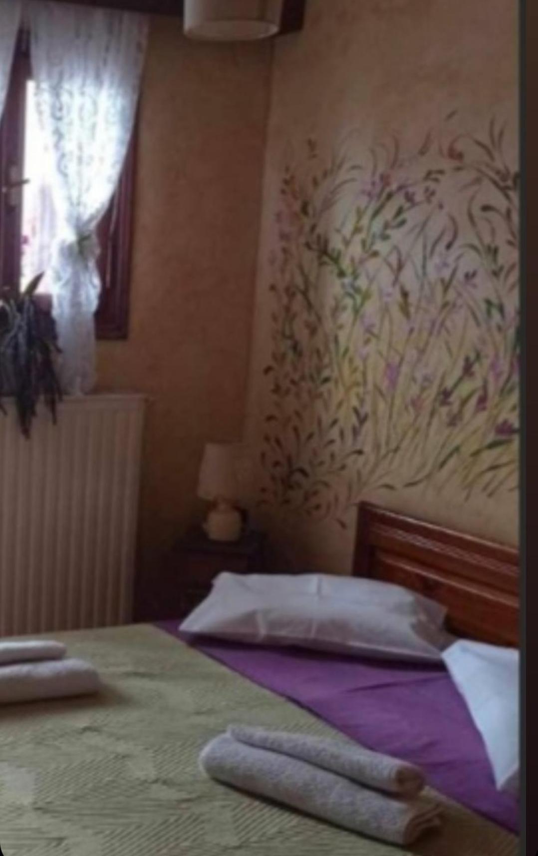 Άγρια Λούλουδα Κατοικία Αρμονία Timfristos Esterno foto